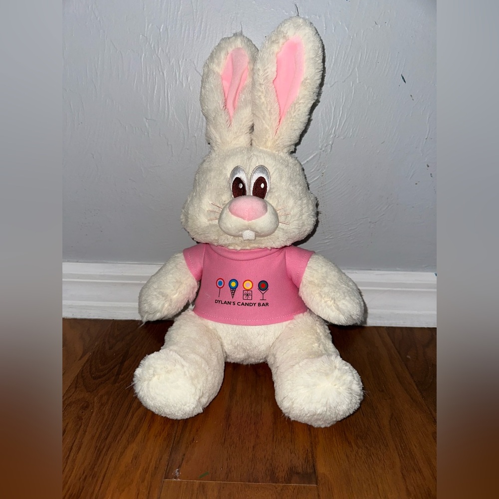 Dylan’s Candy Bar bunny stuffy.
